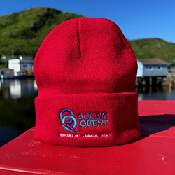 Ocean Quest Skull Cap - Red